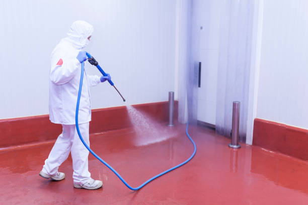 Best Solar Panel Cleaning  in Alvarado, TX
